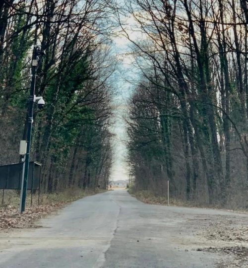 484958676 958115103157807 8498442011467555255 n