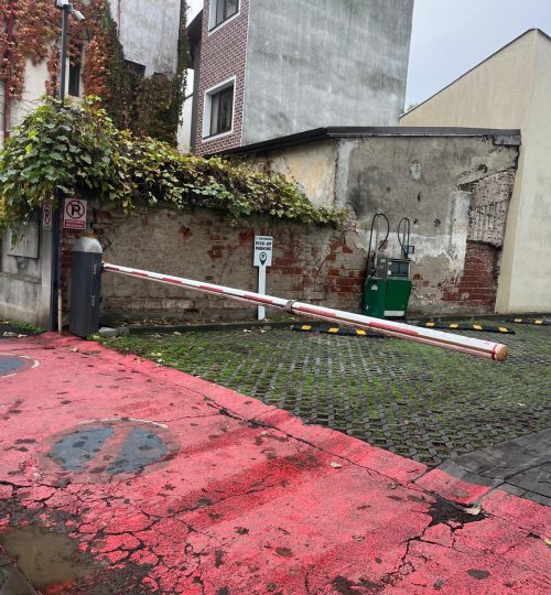 whatsapp image 2026 04 03 at 11.00.41 (2)